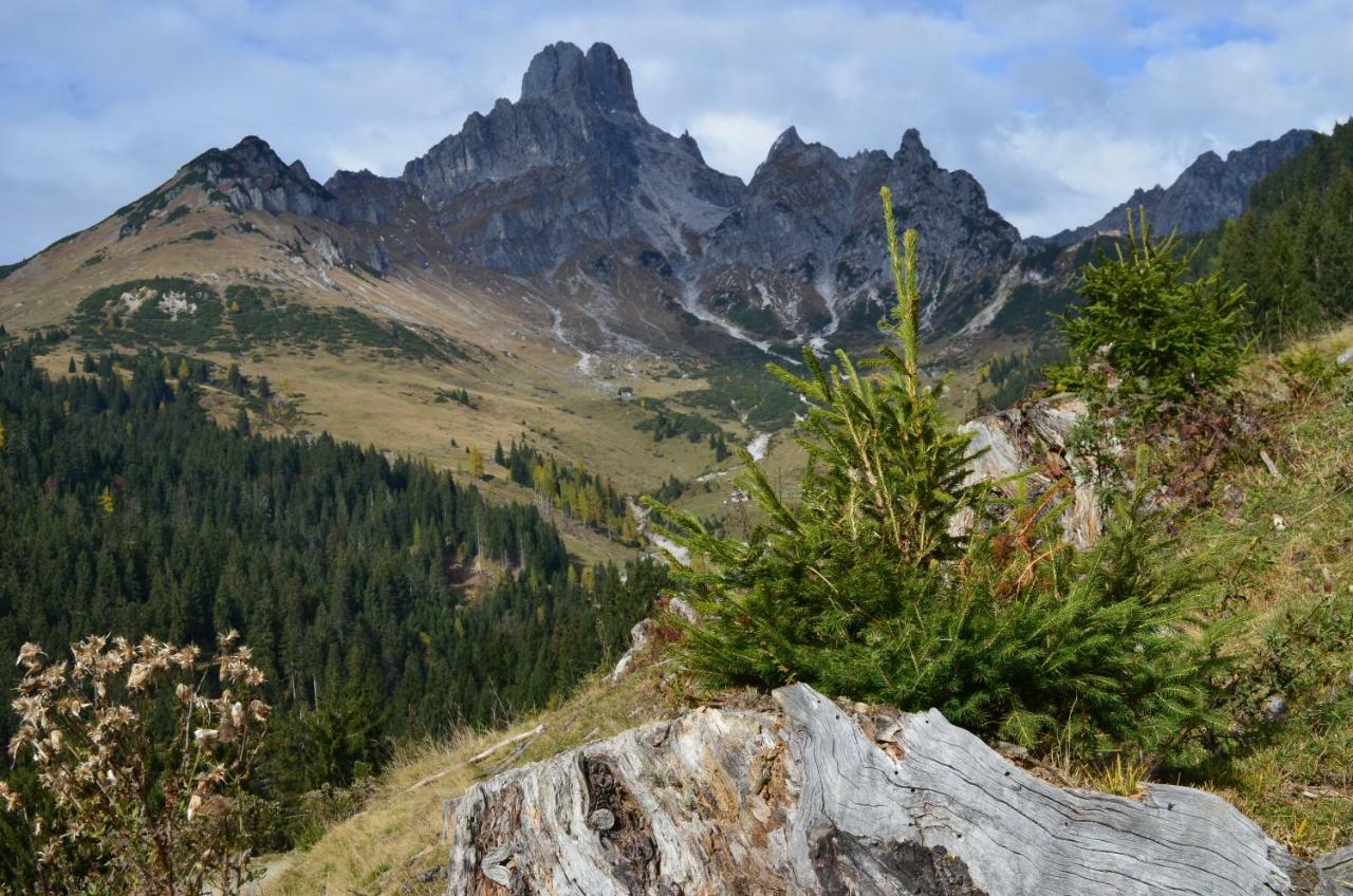 Appartement Althuber Eben Im Pongau Luaran gambar